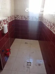  2 بليط يبحث عن عمل