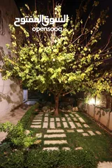  27 Fully Furnished Villa for rent