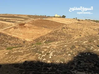  7 أرض زراعية للبيع في سيحان / البلقاء 5 دونمات و 300 متر.