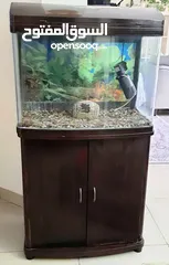  1 Aquarium with external filter for sweet/salt water by whats app in Description