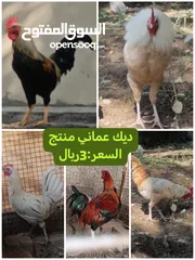  1 دياكه منتجه