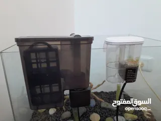  12 حوض سمك كريستال