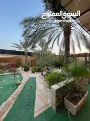  21 مزرعه حديثه وفاخره للبيع من المالك الجوفه البحر الميت.