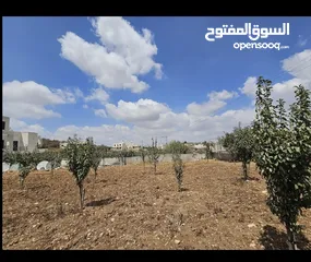  6 ارض للبيع حلحول منعين