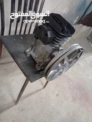  1 راس كمبروسر ايطالي  بسعر مناسب بحاله جيده  التواصل