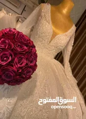  13 فيلوات