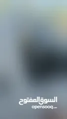  16 كيا مورنينغ 2017