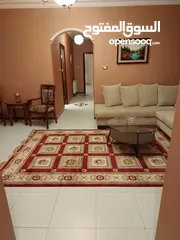  10 متوفره بعد 8/15  شقه  سوبر ديلوكس كل شي فيها تقريبا جديد مفروشه للايجار  اسبوعي .شهري او سنوي