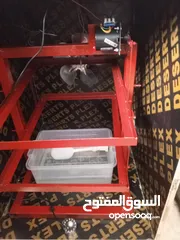  5 ثلاث فقاسات احجام مختلفه الشرح بالوصف   &$&#&@&@&#&$$&$&&$#&#ـ#ـ#&#&ـ#ـ#&$&$&$#&#&&#&@&@$@@$@$@$#$$#