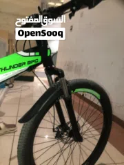  10 Bicycle from (Thunder bird)