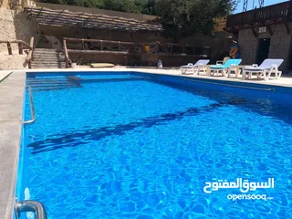  1 شالية رمسيس  Ramesses Chalet وسط اجمل غابات عجلون أطلالة بانورامية