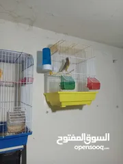  2 كنار للبيع