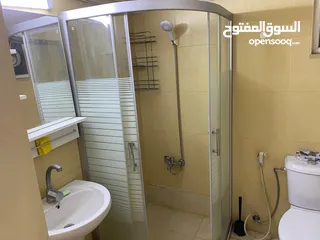  8 Furnished Apartment for rent in Jabal Amman