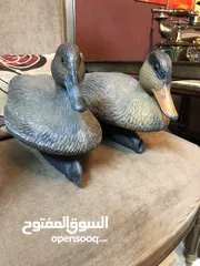  3 بط صيد عدد 2 بلاستيك صناعة امريكية تطفو فوق الماء تصلح لزينة البرك و النوافير