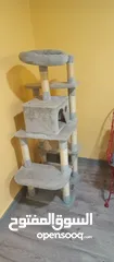  1 FeandRea cat tree