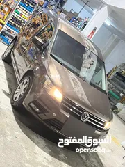  1 كادي شصي قصير