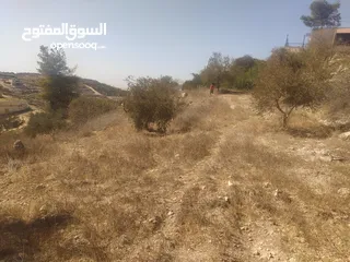  2 دونم ارض للبيع
