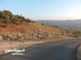  2 قطعة أرض مميزة في أجمل مناطق كفير جرش
