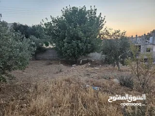  6 منزل مستقل لبيع في ذيبان