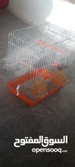  2 قفص عصفور.