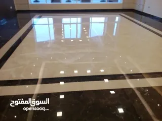  1 شركه تنظيف وتعقيم ومكافحه الحشرات