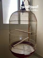  1 New Large Bird Cage  قفص طيور كبير جديد