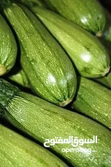  25 الفواكه والخضروات بالجملة / fruit and vegetables wholesale
