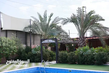  7 مزرعه للايجار اليومي  لمن يبحث عن الراحة التامه والاسترخاء
