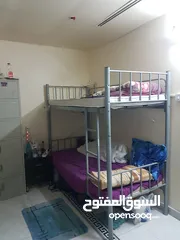  2 Executive Bed Space At Al Zaab