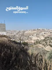  1 أرض 500 متر للبيع في لوزا