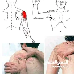  15 مدرب لياقه بدنيه وبناء أجسام ومدرب سباحه