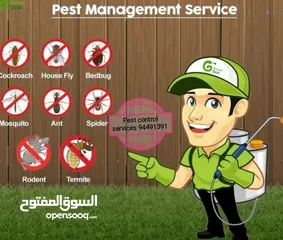  7 Pest control treatment's