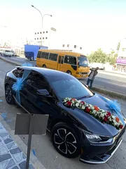  9 سيارات للاجار