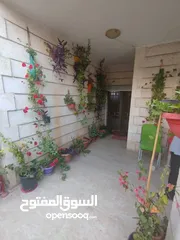  1 شقة في شفا بدران  الكوم قرب سلالة مول من المالك بسعر مغري