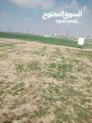  18 قطعة أرض في أم الرصاص