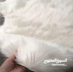  12 كراسي فرو حديد