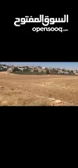  10 ارض سكن خاص مساحة واسعه (1271 م)  منطقة فلل وقصور ملاصقة لفلل الاندلسية _ جنوب عمان _شارع مادبا
