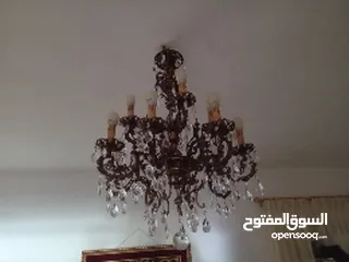  3 لمات سن 14 صحراوي