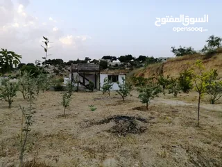  28 مزرعة في اربد كفر اسد للبيع