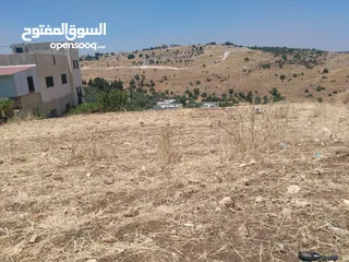  11 ارض للبيع في عجلون (صخرة)