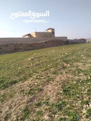  27 قطعة أرض للبيع مميزة بأطلالة مرتفعة وبسعر مغري