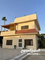  10 شاليه/ مزرعه للبيع بالشونه الجنوبيه بجانب الجندي المجهول