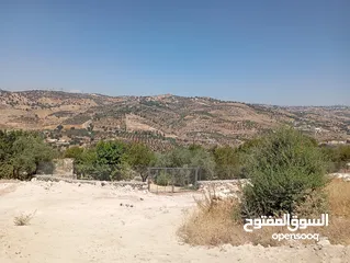  17 ارض مميزة مطلة ابو السوس غرب عمان عدة قطع في المنطقة.