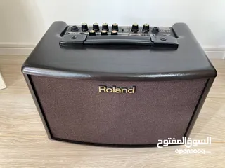  6 roland AC-33