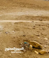  11 ارض مساحة 1600 متر مربع للبيع تصنيف أ في بلدة العوجا الهادئة الجميلة