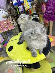  3 هملايا لينكس بيور لعب تابع الوصف بعناية مهم متابعة الوصف عروض حقيقية بمناسبة العرض