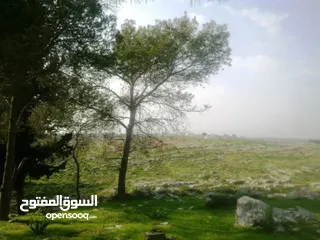  7 1000 متر مربع في اكتابا للبيع