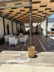  18 مزرعة وشاليه جنة النعيم طريق المطار للايجار اليومي