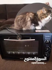  2 ميكرويف وفرن كهرباء SHARP استعمال بسيط