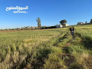  2 ارض للبيع الزنيه الزيتونه